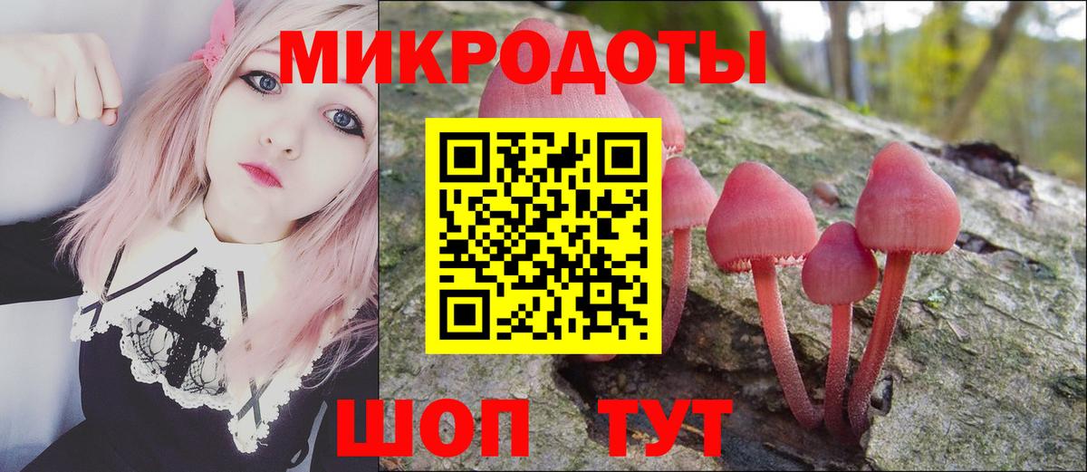 купить наркоту  Псилоцибиновые грибы Psilocybine cubensis  Вход с VPN  Дубна 